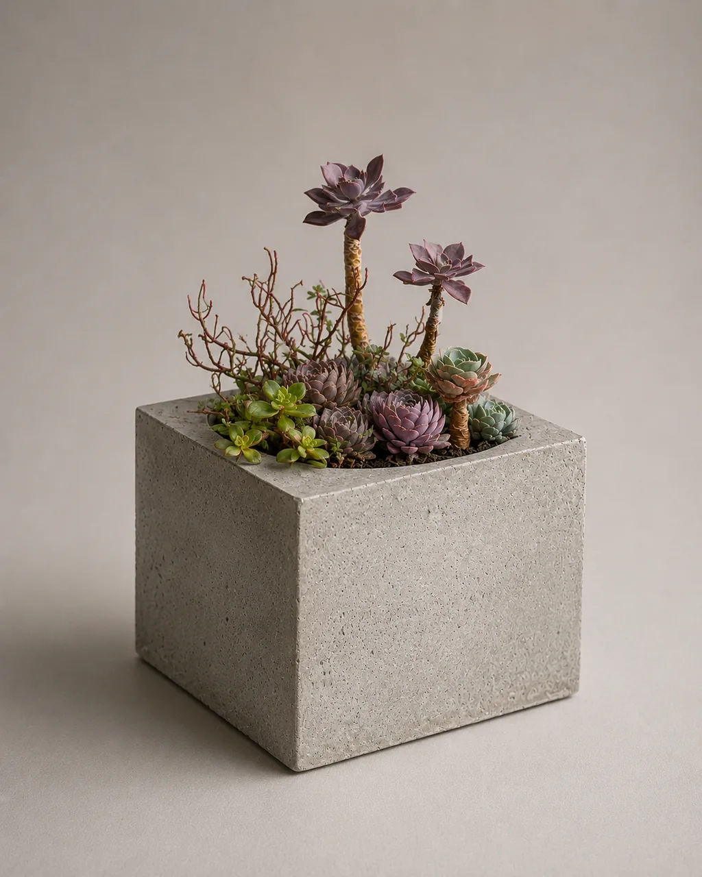 Matera 36 en concreto — Silente Estudio