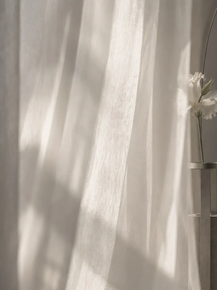 Prólogo: luz sobre una cortina y un florero — Silente Estudio